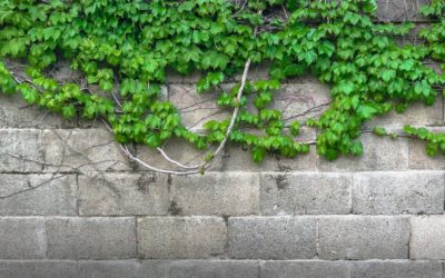 Einsamkeit oder Angst um den Job
