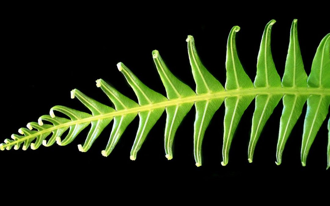 Volkskrankheit Depression